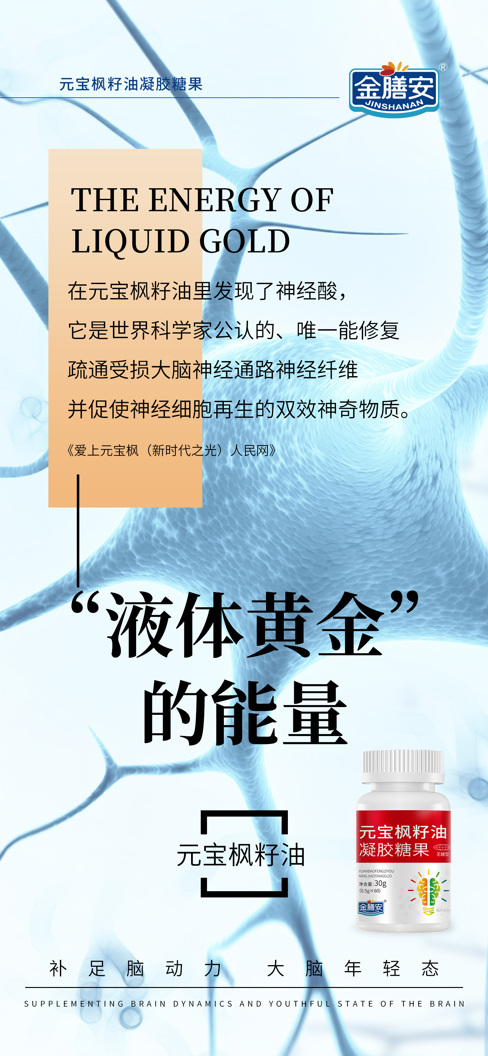 “液体黄金”的能量。补足脑动力 大脑年轻态