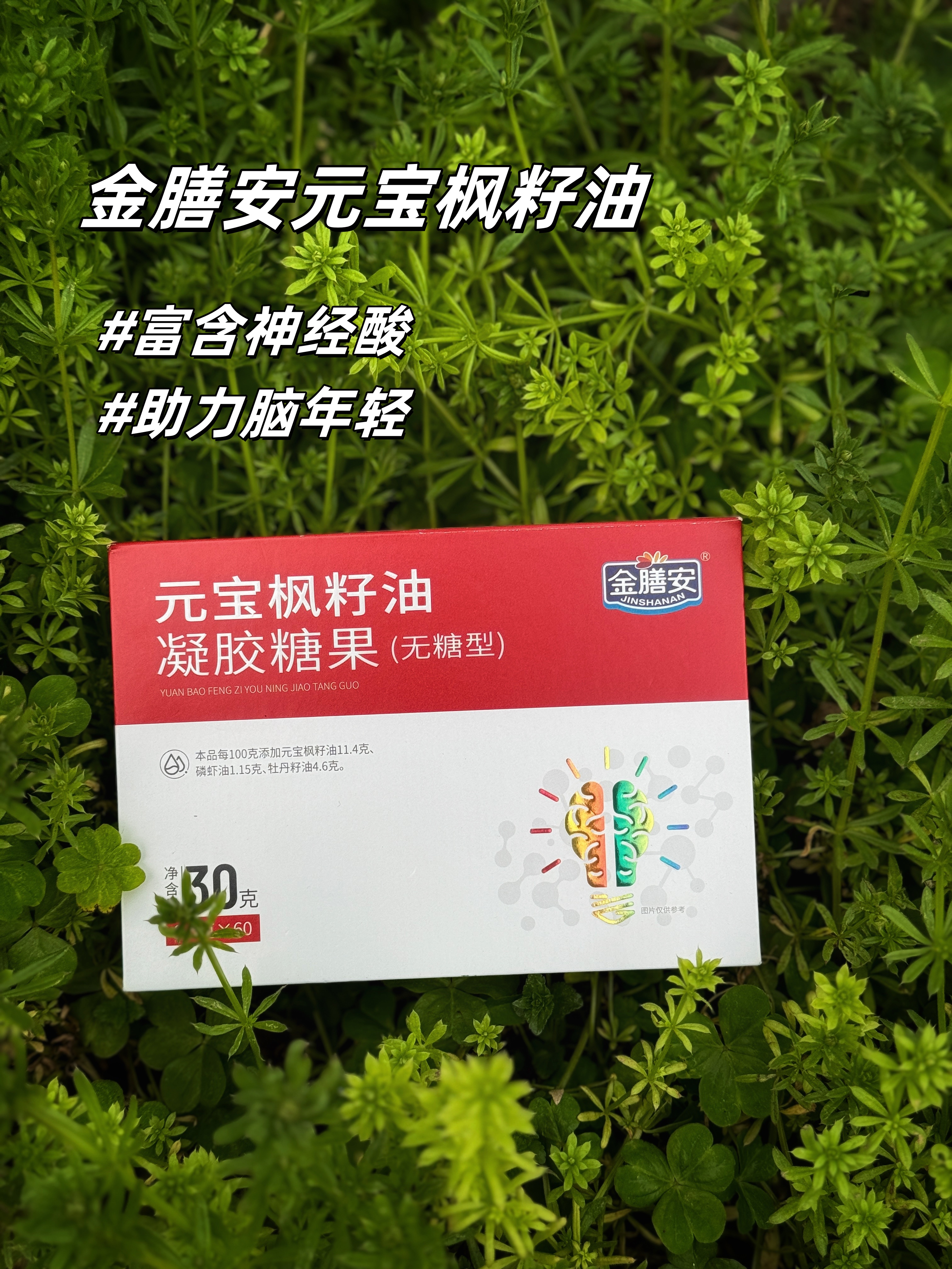 👴 中老年朋友看过来！。🧠金膳安元宝枫籽油。😎助力大脑年轻态。💡脑子越用越灵光！