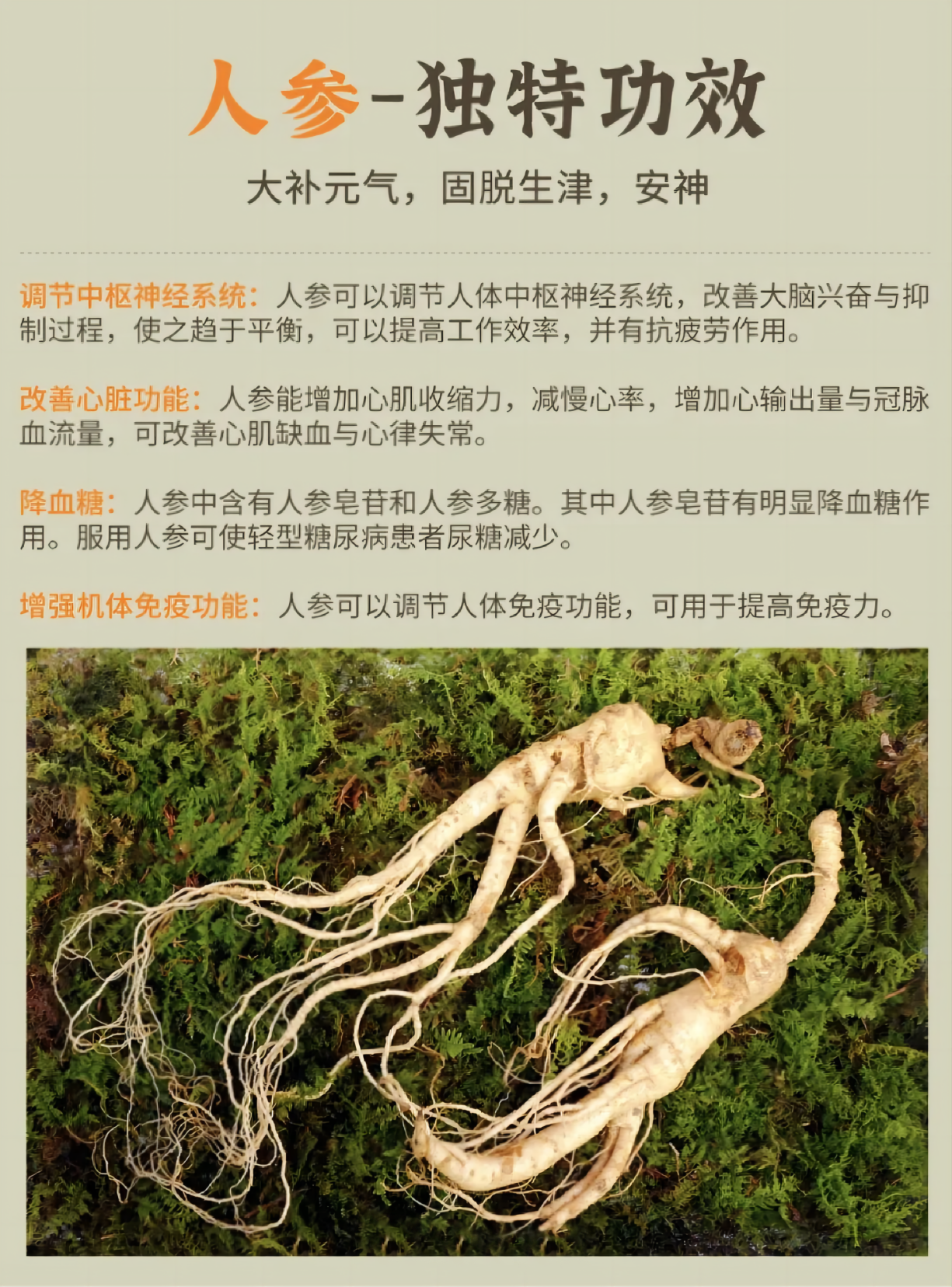 ✨ 人参"百草之王"驾到！养生功效超厉害~。【大补元气】给身体充满"能量"💪。⚠️ 注意：功效虽好，吃法禁忌要记牢哦！