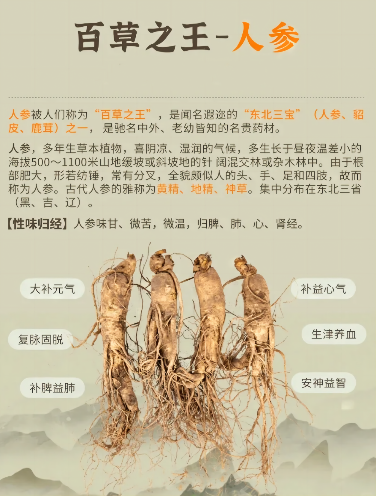 ✨ 人参"百草之王"驾到！养生功效超厉害~。【大补元气】给身体充满"能量"💪。⚠️ 注意：功效虽好，吃法禁忌要记牢哦！