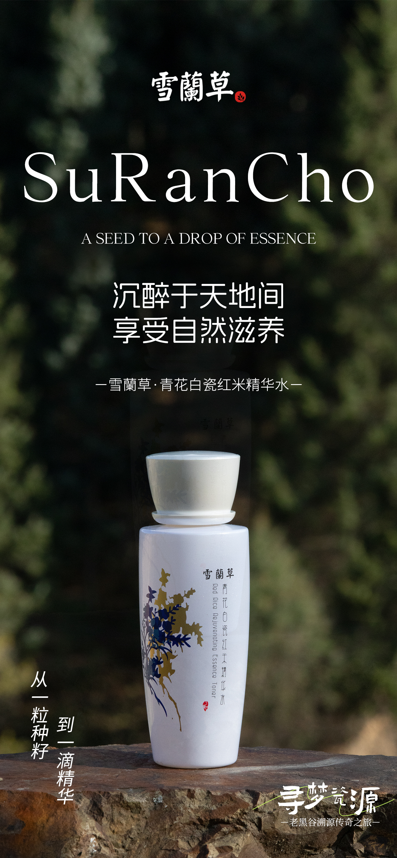 ✨ 雪蘭草青花白瓷6件套✨。🌿 寻梦瓷源。🏔️ 攀天阁老黑谷溯源传奇之旅。💫 匠心传承，瓷韵流芳