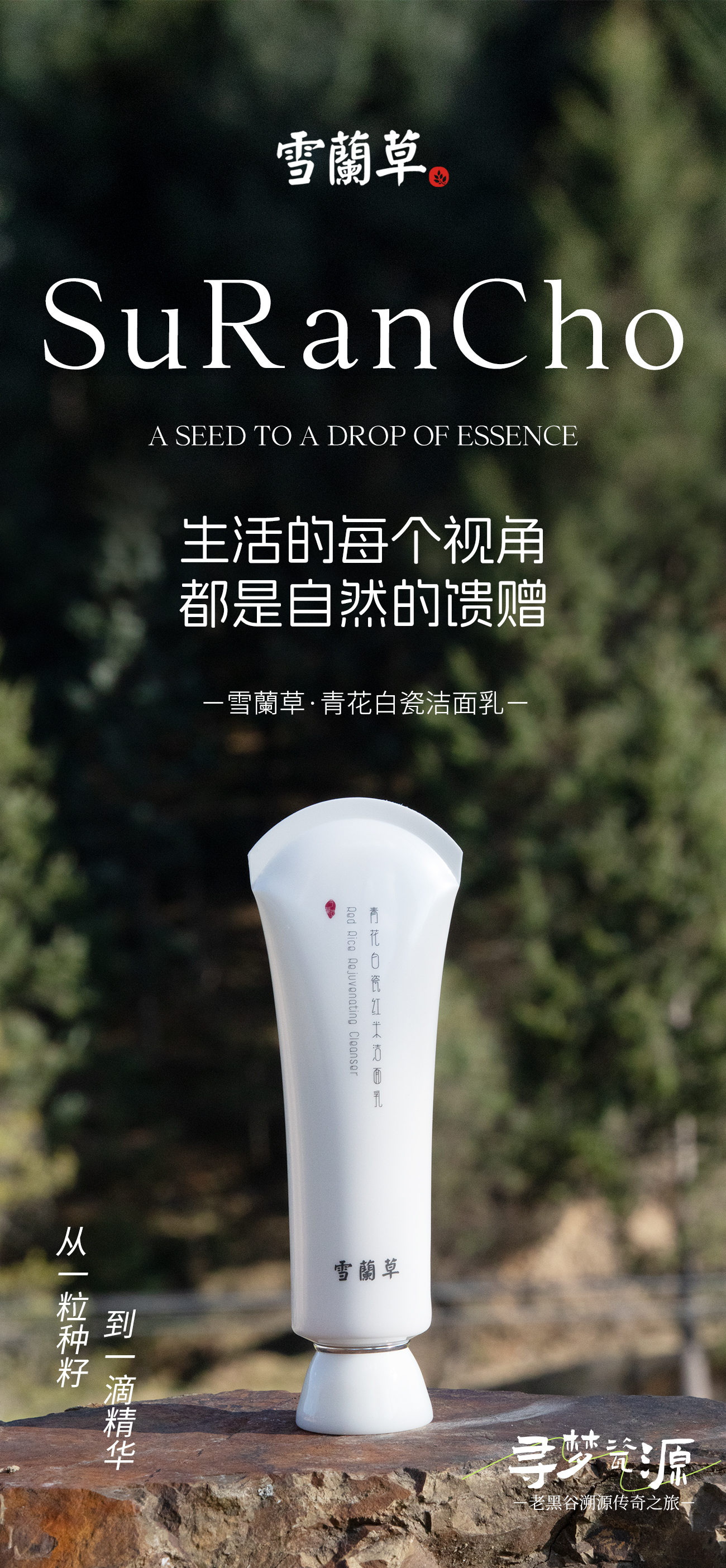 ✨ 雪蘭草青花白瓷6件套✨。🌿 寻梦瓷源。🏔️ 攀天阁老黑谷溯源传奇之旅。💫 匠心传承，瓷韵流芳