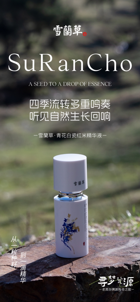 ✨ 雪蘭草青花白瓷6件套✨。🌿 寻梦瓷源。🏔️ 攀天阁老黑谷溯源传奇之旅。💫 匠心传承，瓷韵流芳