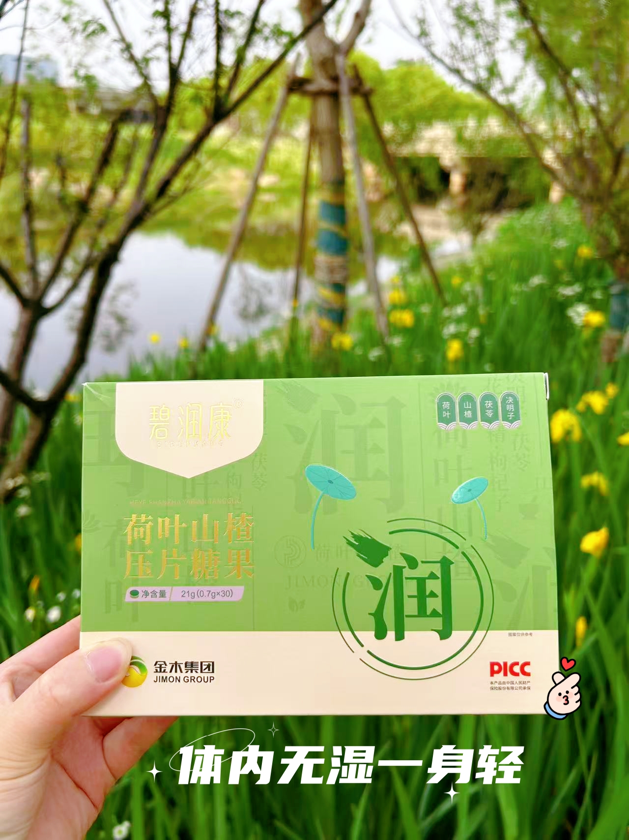 🌅 起床水肿像馒头？来几片“消消气”！ 。🍵 荷叶粉+山楂粉+茯苓粉+决明子粉。🌿 清润配方，清畅解腻 。👜 独立小包装，塞包里也方便 。🌞 湿气拜拜，每天轻盈自在