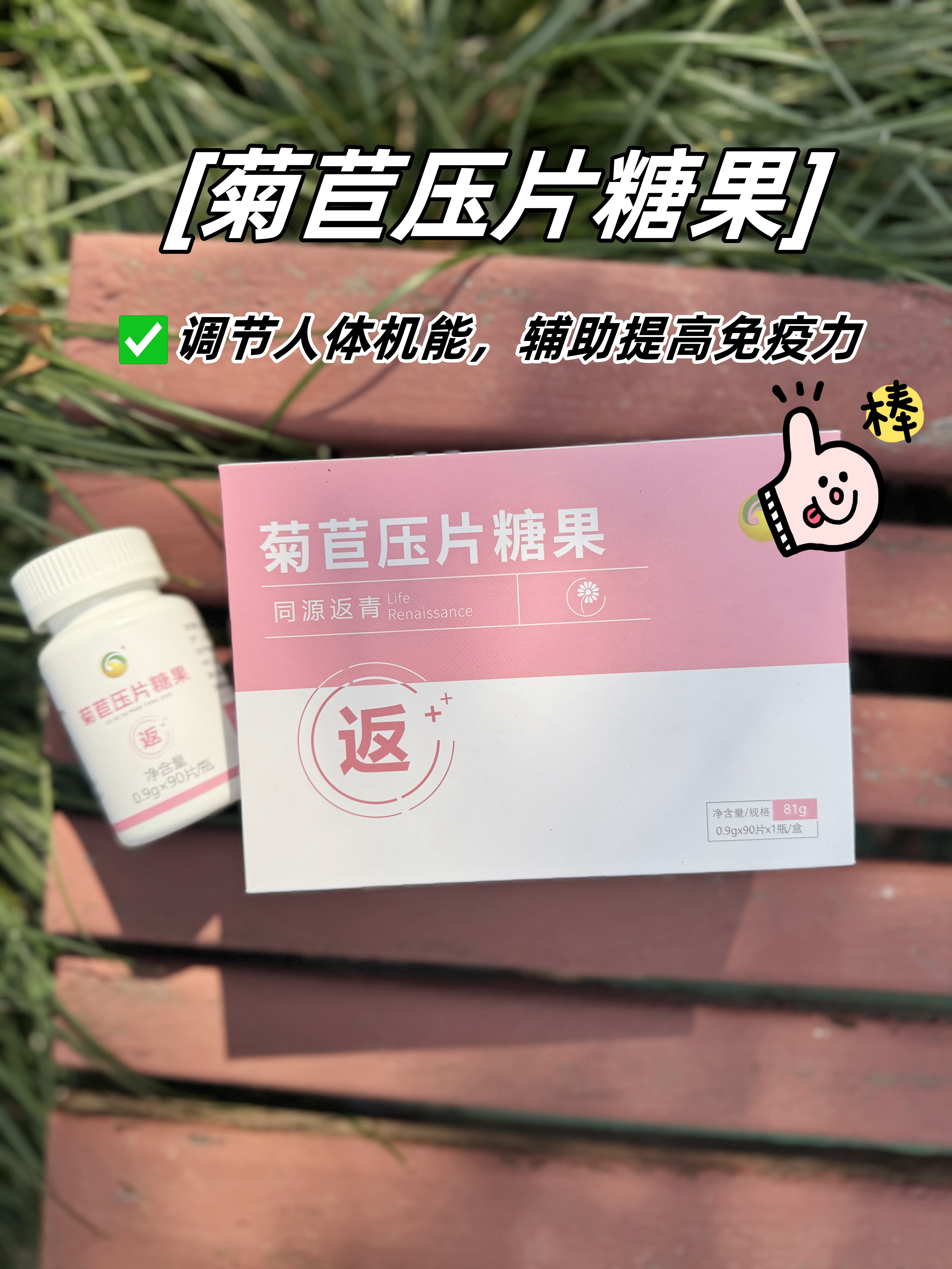 😑换季必感冒星人看过来！。📺 免疫是健康根基。💪 菊苣+黄精药食同源。👏今年全家没中招~