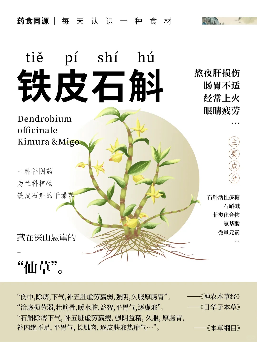 🌿"仙草"铁皮石斛—熬夜党、肠胃弱的救星来啦！。🍵咱石斛胚芽人参粉，古籍认证的"厚肠胃"力。国家发明专利加持、细胞工程技术突破。活性营养，给虚弱肠胃加道"防护盾"💪