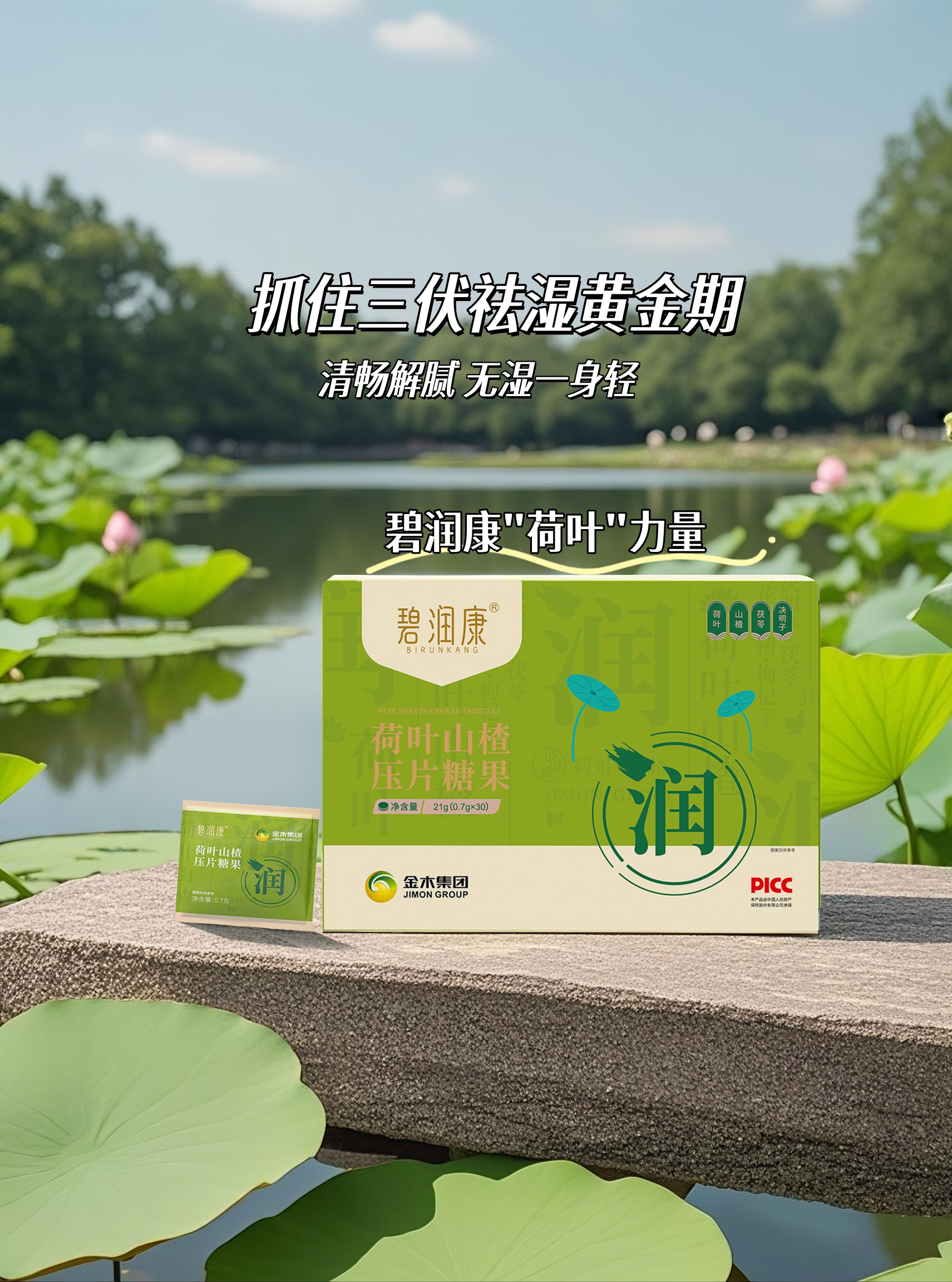 今日中伏，宜袪湿避暑。碧润康专注"荷叶"力量。荷叶 · 夏日消暑良伴。📜 《本草再新》载：荷叶清凉解暑，生津止渴。