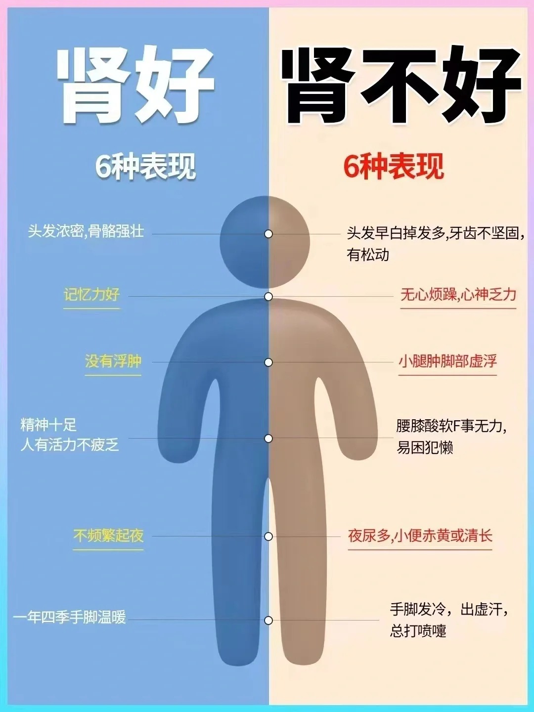 🚨肾好or不好的6大表现！！。🌙经常熬夜、🍺烟酒不禁…。⚠️注意了！你的肾精正在逐渐亏虚...。肾乃“先天之本”！。所以一定要保护好哦~