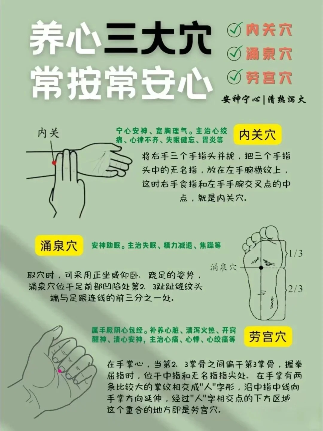 夏养心＝养命！《黄帝内经》千年智慧🌿。心主阳气，夏季养心＝固护生命之本。夏属火，内应于心，静心避暑＝天然大补。夏至养心，心宁则五脏和，神清气爽过盛夏😌