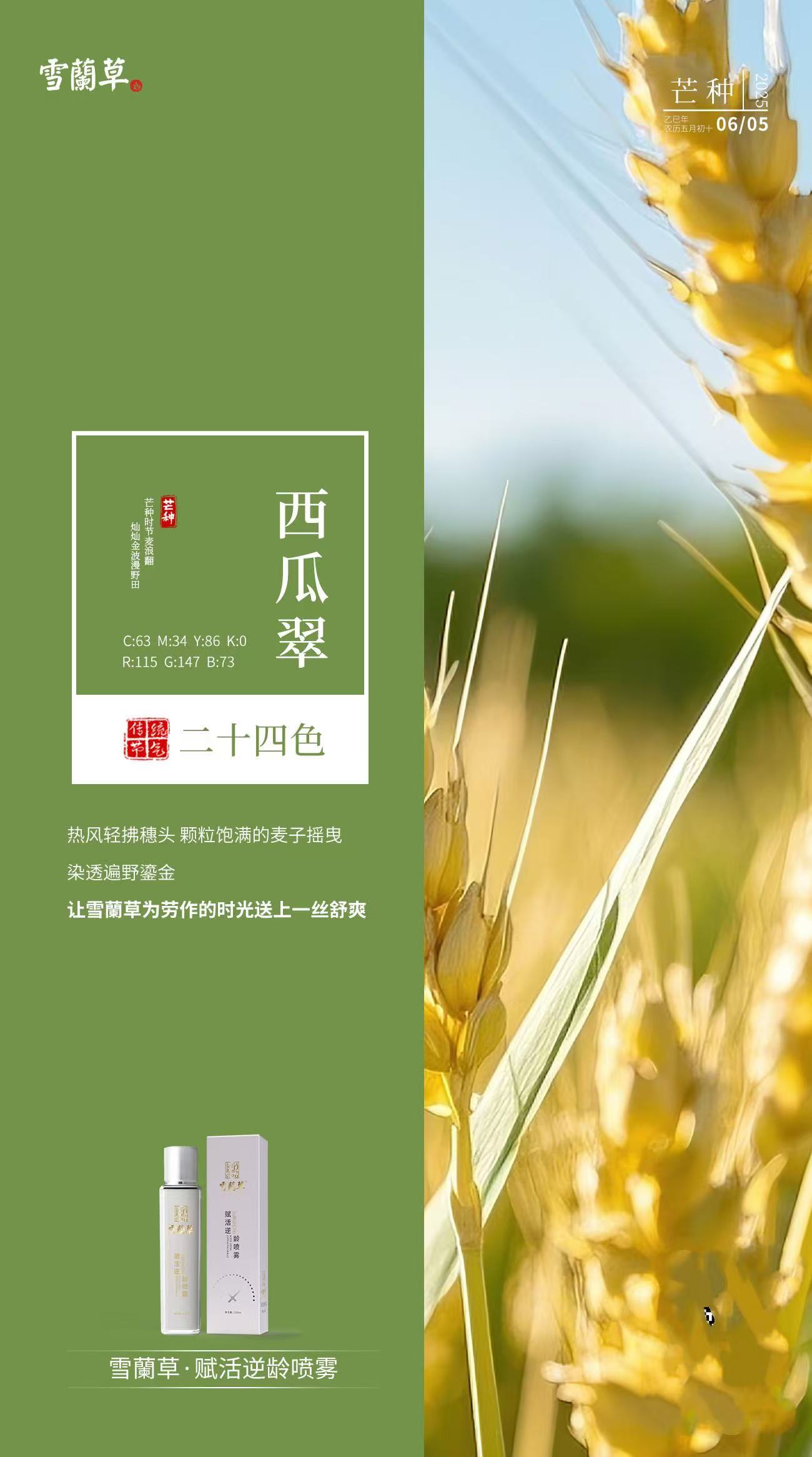 节气二十四色。芒种已至夏日 青翠欲滴的竹林成荫。让雪蘭草为皮肤的夏日增添一分清凉