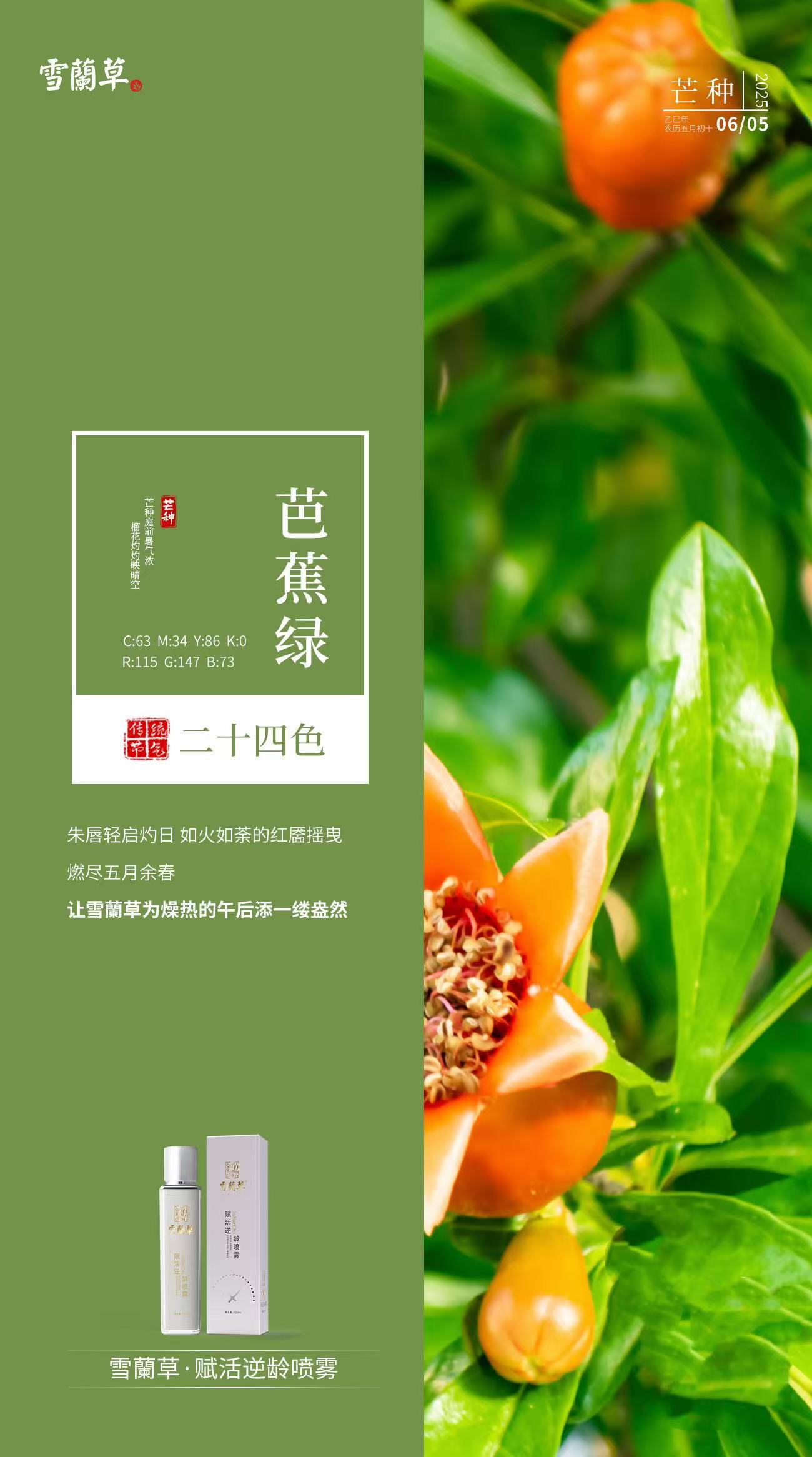 节气二十四色。芒种已至夏日 青翠欲滴的竹林成荫。让雪蘭草为皮肤的夏日增添一分清凉