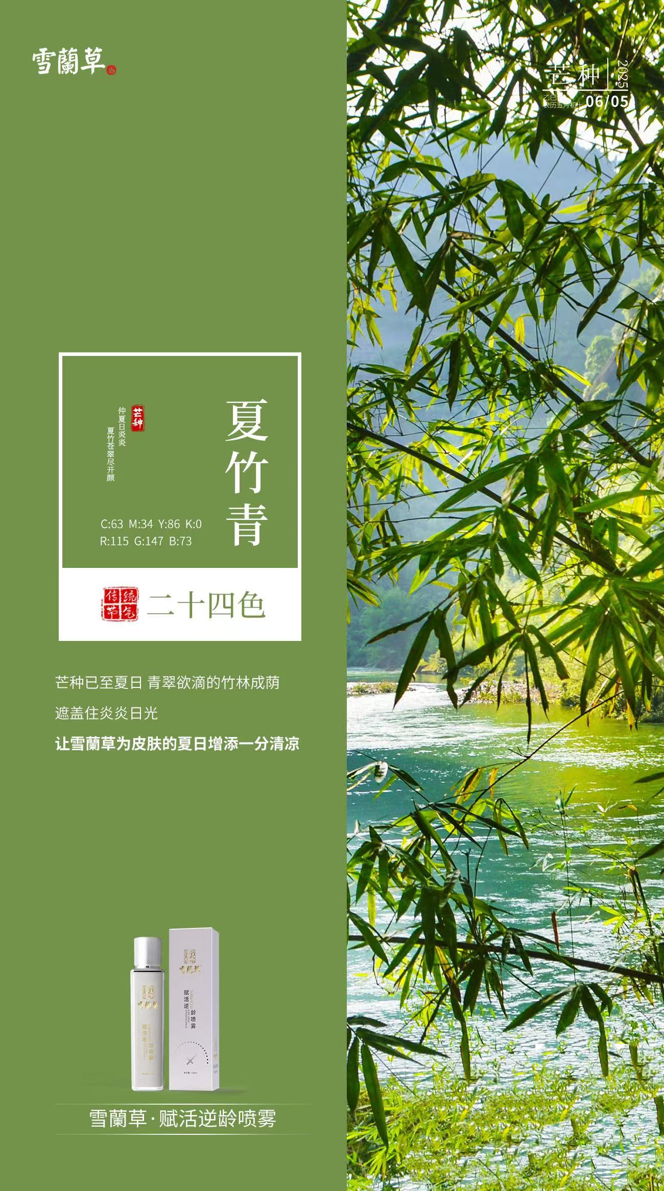 节气二十四色。芒种已至夏日 青翠欲滴的竹林成荫。让雪蘭草为皮肤的夏日增添一分清凉