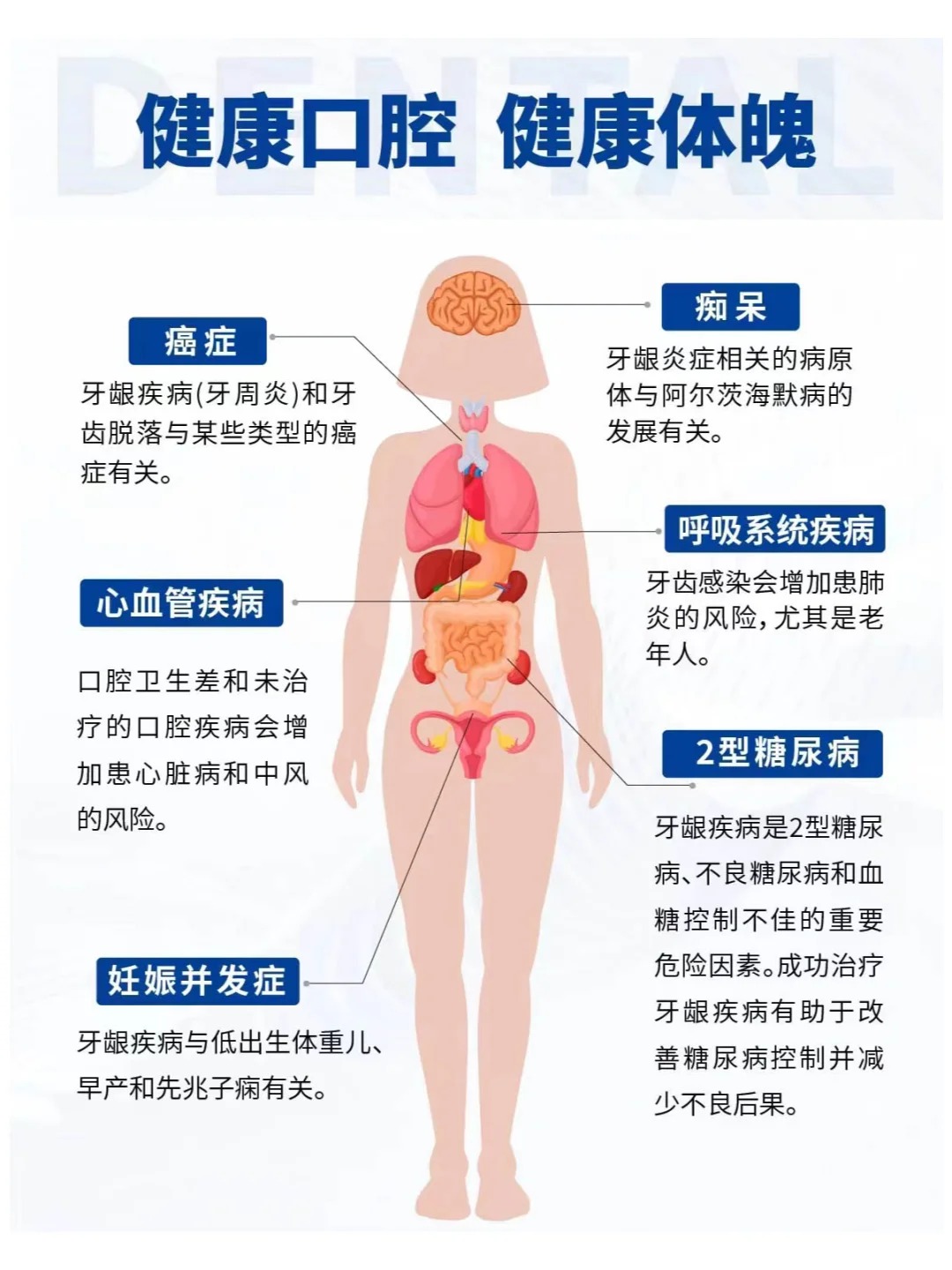 🦷「爱牙日特辑」金木健康提醒您：。常说“病从口入”，口腔健康关乎全身‼️。牙龈是健康窗口，牙齿是全身健康第一关。。预防＞治疗，日常养护才是真正的智慧之选💡。这个爱牙日，一起守护健康从“齿”开始❤️
