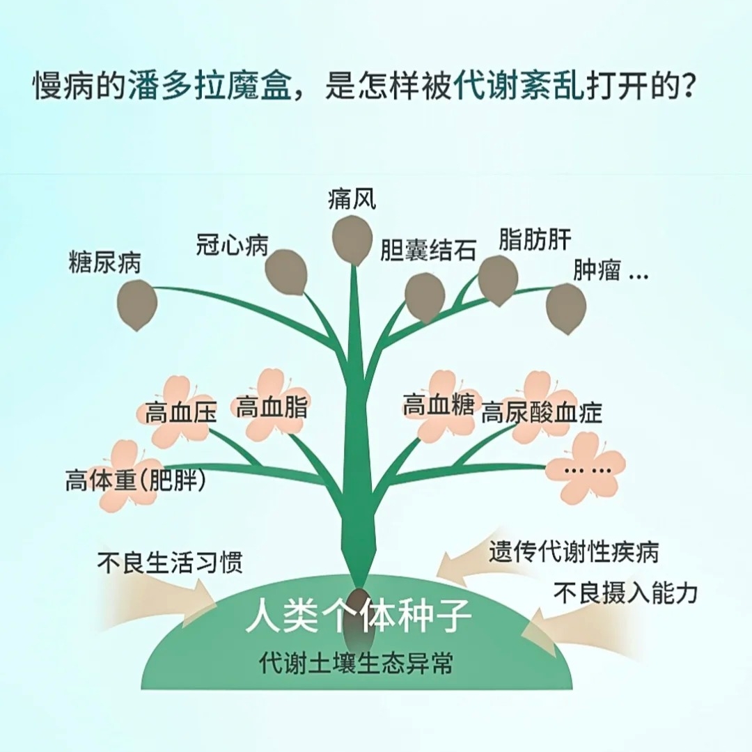 📢代谢是健康基石，早关注，早受益！。失眠乏力、腹胀口臭、月经紊乱…看似不相关，实则都是代谢失衡的信号！。✅ 根源养护很重要，科学调理代谢，逆转亚健康！