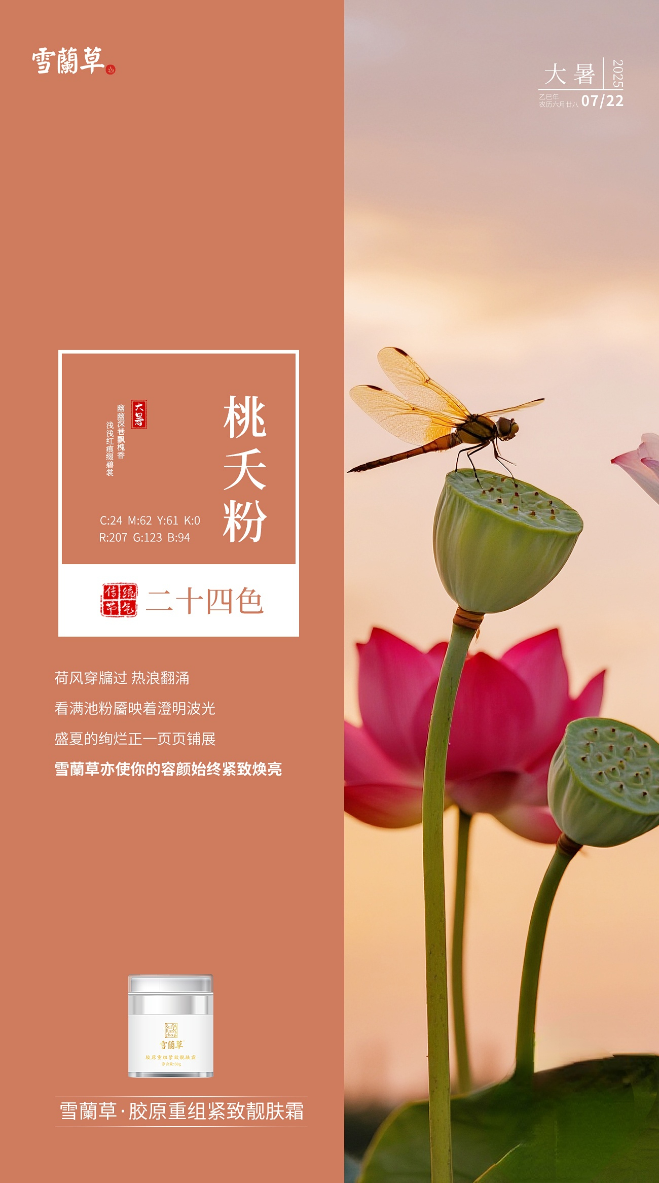 #大暑# 节气二十四色。幽幽深巷飘槐香，浅浅红痕缀碧裳。盛夏的绚烂正一页页铺展。雪蘭草亦使你的容颜紧致焕亮