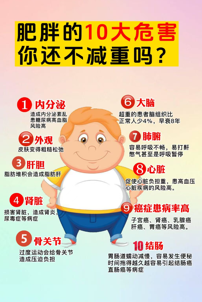 肥胖危害⚠️：致内分泌紊乱🍬（增糖脂病风险），伤肝肾🦠、加重骨关节负担🦴，大脑早衰🧠、心肺受累🫁🫀，还升高癌、肠癌风险🚨，别轻视，及时减重护健康～