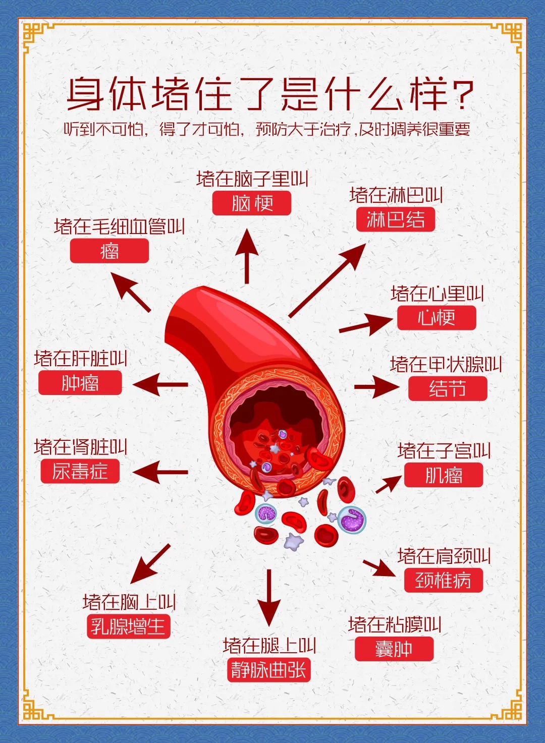 人与血管同寿，它是生命最关键的"运输网"。 一旦堵塞，养分难达、废物堆积，警报即刻拉响🚨。头晕、肢冷、易疲惫…都是身体在呼救📢。「雪蓝朵」自然精粹温和滋养，助你疏通养护，从容守护生命之源🌿