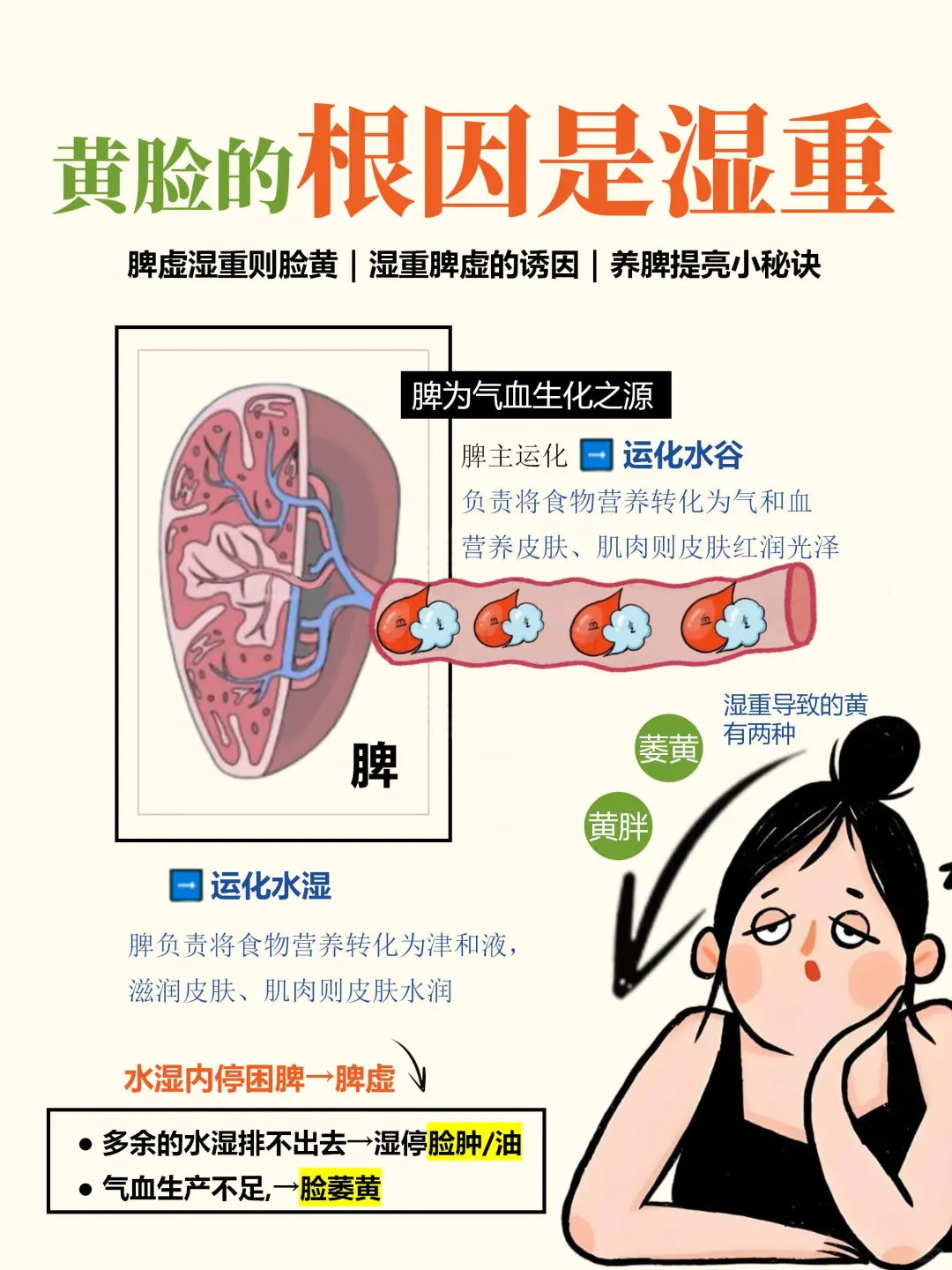 脸色暗黄油腻？🤔可能不是肤质问题，而是体内湿气太重！。光靠外在护肤治标不治本，【内调+外养】才是关键。。脾虚湿重是元凶，熬夜压力、饮食不规律都在加重负担😮‍。试试「碧润康」内在滋养，助你找回肌肤自然光泽。