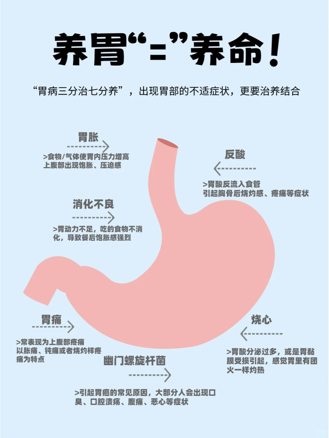 养胃就是养根本，务必重视起来！。俗话说 "胃病三分治七分养"，不适症状需治养结合~。🍵 石斛胚芽人参粉：温和滋养，助力胃部舒适。💪 每天2杯，关爱自己从养胃开始！