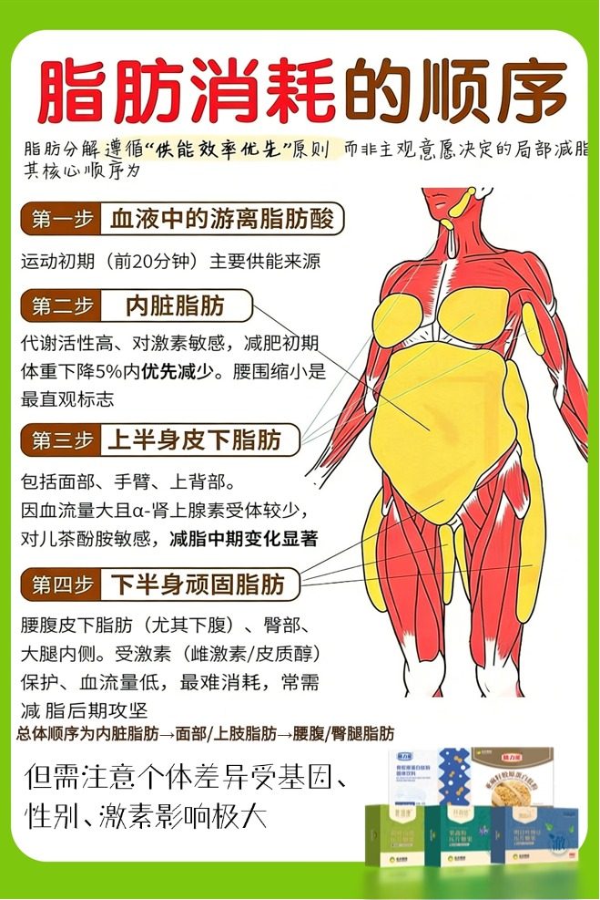 🥗 健康减脂遵指南 想减脂？跟着国家指南做！✅ 每日热量控制在 1800-2400 大卡，添加糖不超 50 克；每周 150 分钟中等强度运动，睡够 7-8 小时，健康减脂，拒绝盲目节食～国家号召科学减重！温馨提示：普通食品不是药品，不能代替药物治疗。