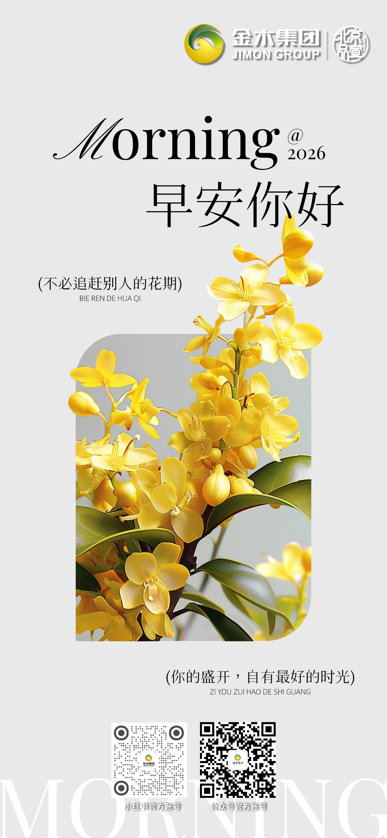 🌊早安！健康如清泉滋养生活，愿你规律作息，放松身心，以平和心态面对日常，平安健康，温暖如初。